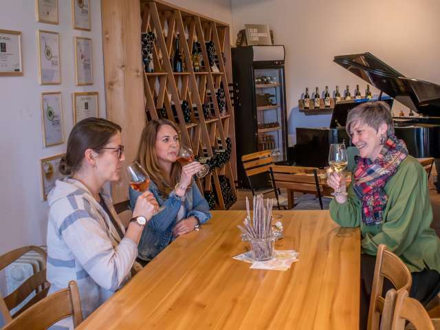 in Schaffhausen und Stein am Rhein