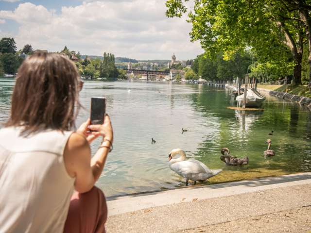 Schaffhauserland-Bucket-List