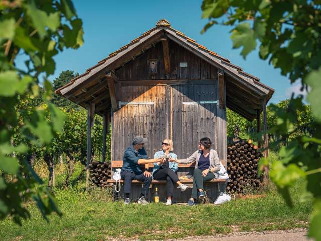Weingenuss in den Steiner Reben