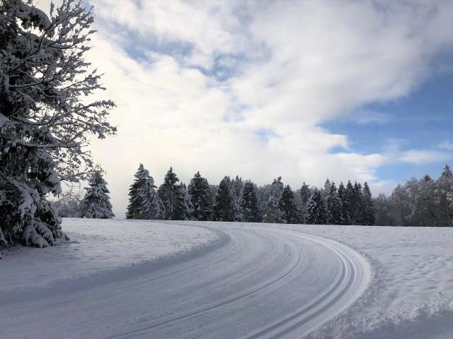 Langlaufen und Schlitteln